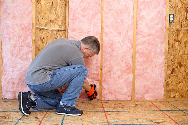 Best Insulation Maintenance and Repair in East Camden, SC